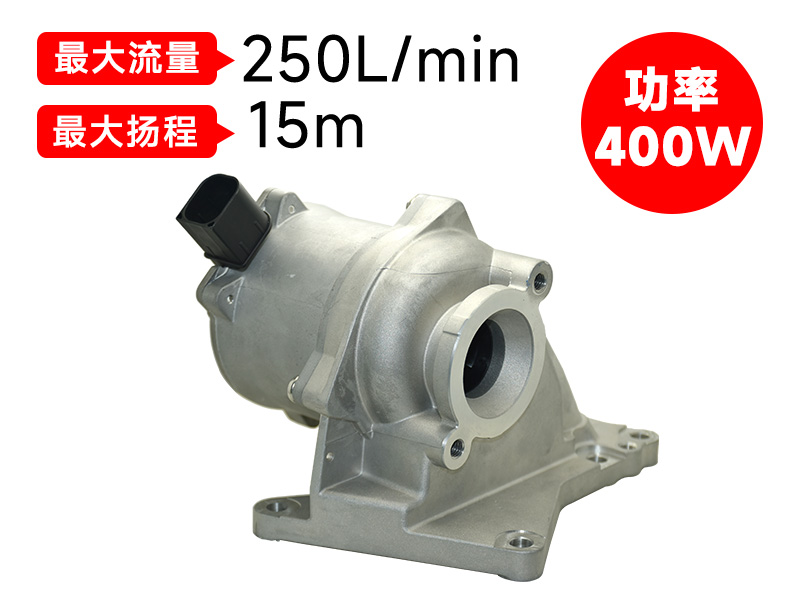 P9009發(fā)動機水泵(12v)