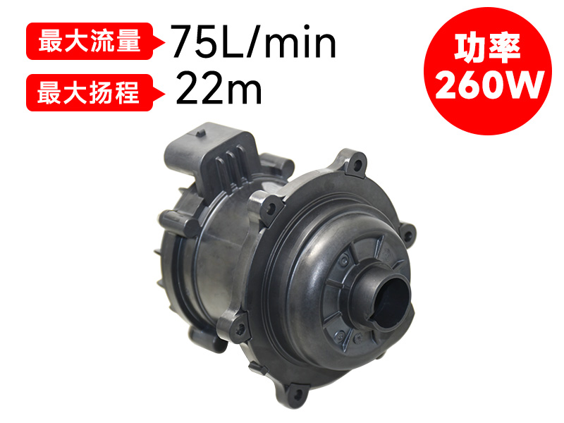 P8018汽車電子泵(24v)