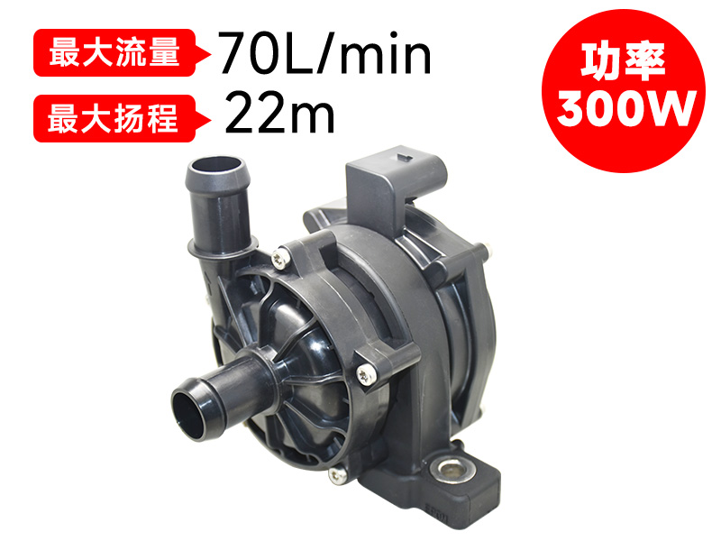 P8018汽車電子泵(12v)