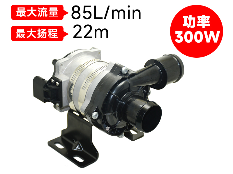 P7509汽車電子泵(24V)